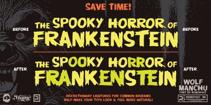 Wolf Manchu Font Poster 5