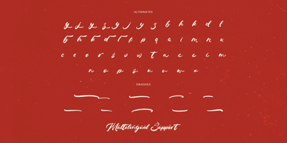 Benton Achita Font Poster 15