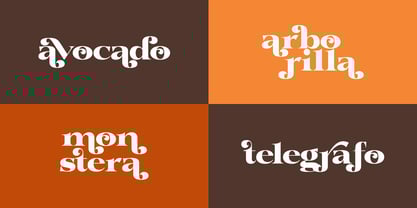 Whodiste Serif Font Poster 5