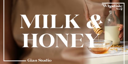 Whodiste Serif Font Poster 8