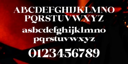 Whodiste Serif Font Poster 7