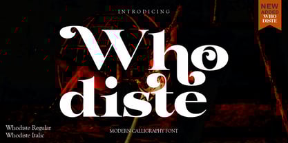 Whodiste Serif Font Poster 1