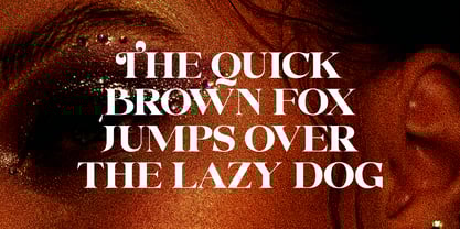 Whodiste Serif Font Poster 4