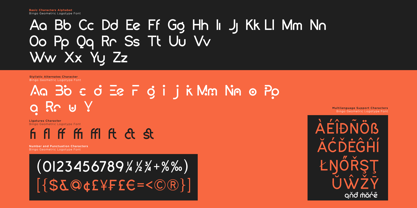 Bingoy Font Poster 5