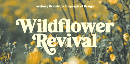 Aveburg Grande Font Poster 11