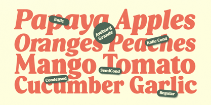 Aveburg Grande Font Poster 10