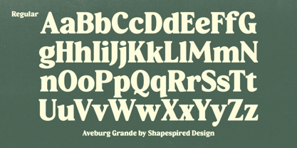 Aveburg Grande Font Poster 12