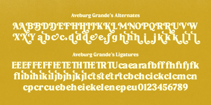 Aveburg Grande Font Poster 15
