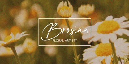 Hilanda Signature Font Poster 3