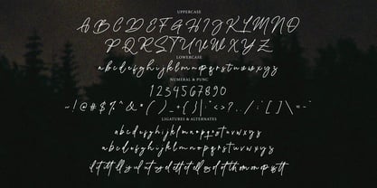 Hilanda Signature Font Poster 8