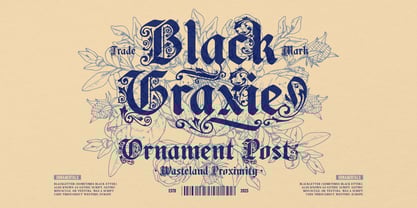 Black Kiyrand Font Poster 5