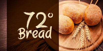 Rougless Font Poster 4