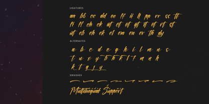Sinthetic Virtual Font Poster 15