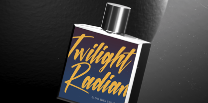 Sinthetic Virtual Font Poster 11