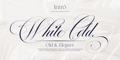 White Cold Font Poster 1