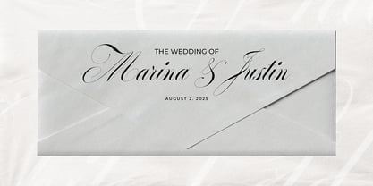 White Cold Font Poster 9