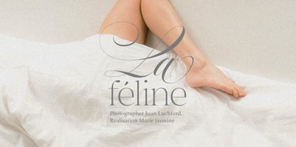 White Cold Font Poster 3