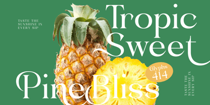 Blush Honey Font Poster 11