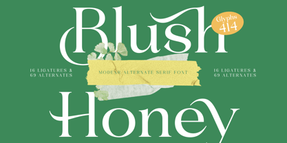 Blush Honey Font Poster 1