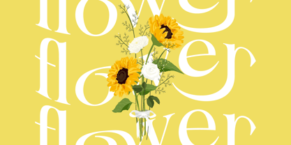 Blush Honey Font Poster 3