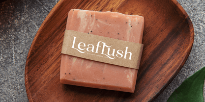 Blush Honey Font Poster 7