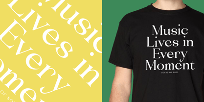 Blush Honey Font Poster 5