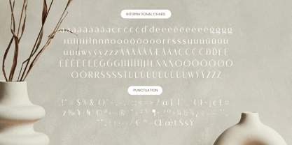 Mozani Font Poster 15