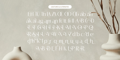 Mozani Font Poster 14