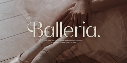 Mozani Font Poster 6