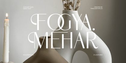 Mozani Font Poster 11