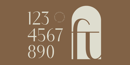 Mozani Font Poster 10