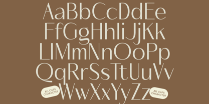 Mozani Font Poster 13