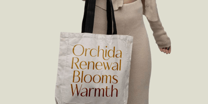 Mozani Font Poster 9