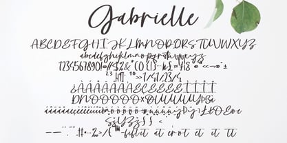 Gabrielle Font Poster 7