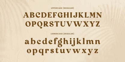 Rodman Making Font Poster 10