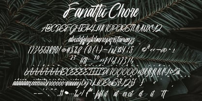 Fanattic Chore Font Poster 7