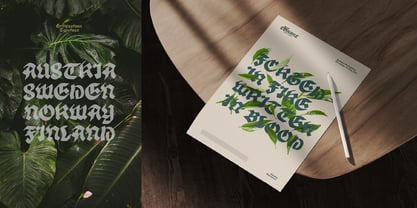 Tomant Blackletter Font Poster 5