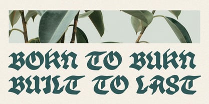 Tomant Blackletter Font Poster 8