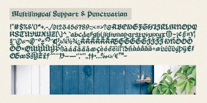 Tomant Blackletter Font Poster 9