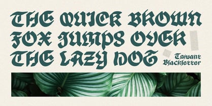 Tomant Blackletter Font Poster 3