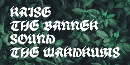 Tomant Blackletter Font Poster 10