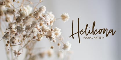 Fanidess Signature Brush Font Poster 4