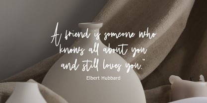 Fanidess Signature Brush Font Poster 8