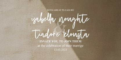 Fanidess Signature Brush Font Poster 7