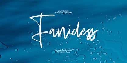 Fanidess Signature Brush Font Poster 1