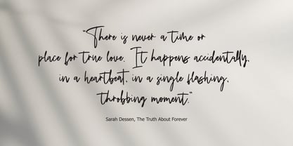 Fanidess Signature Brush Font Poster 5