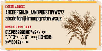 Grissini Font Poster 3