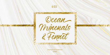 Austinfila Font Poster 6