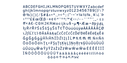 Interform Mono Font Poster 13