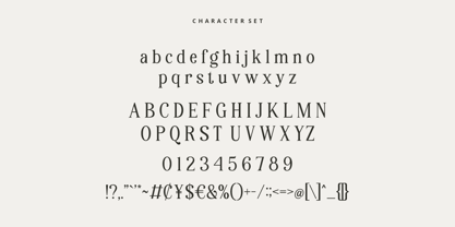 History Nineties Font Poster 9